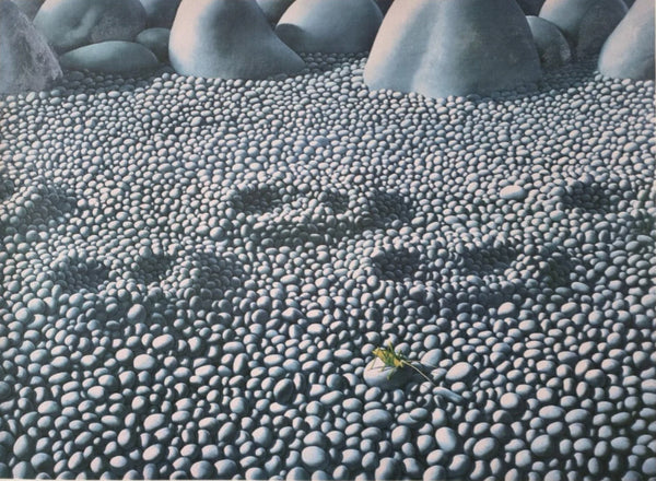 Grasshoppers on Stones